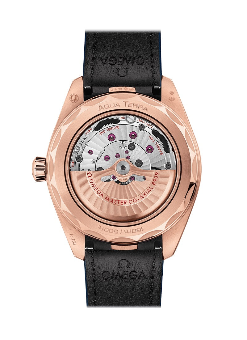 Omega Seamaster AQUA TERRA 150M CO‑AXIAL MASTER CHRONOMETER GMT WORLDTIMER Ref# 220.53.43.22.02.001 - Image 2