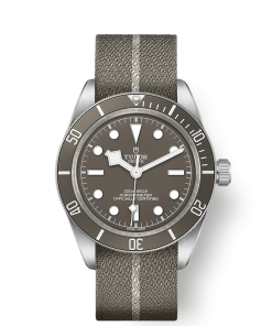 Tudor Black Bay Fifty-Eight 925, 39mm, 925 Silver, Ref# M79010SG-0002